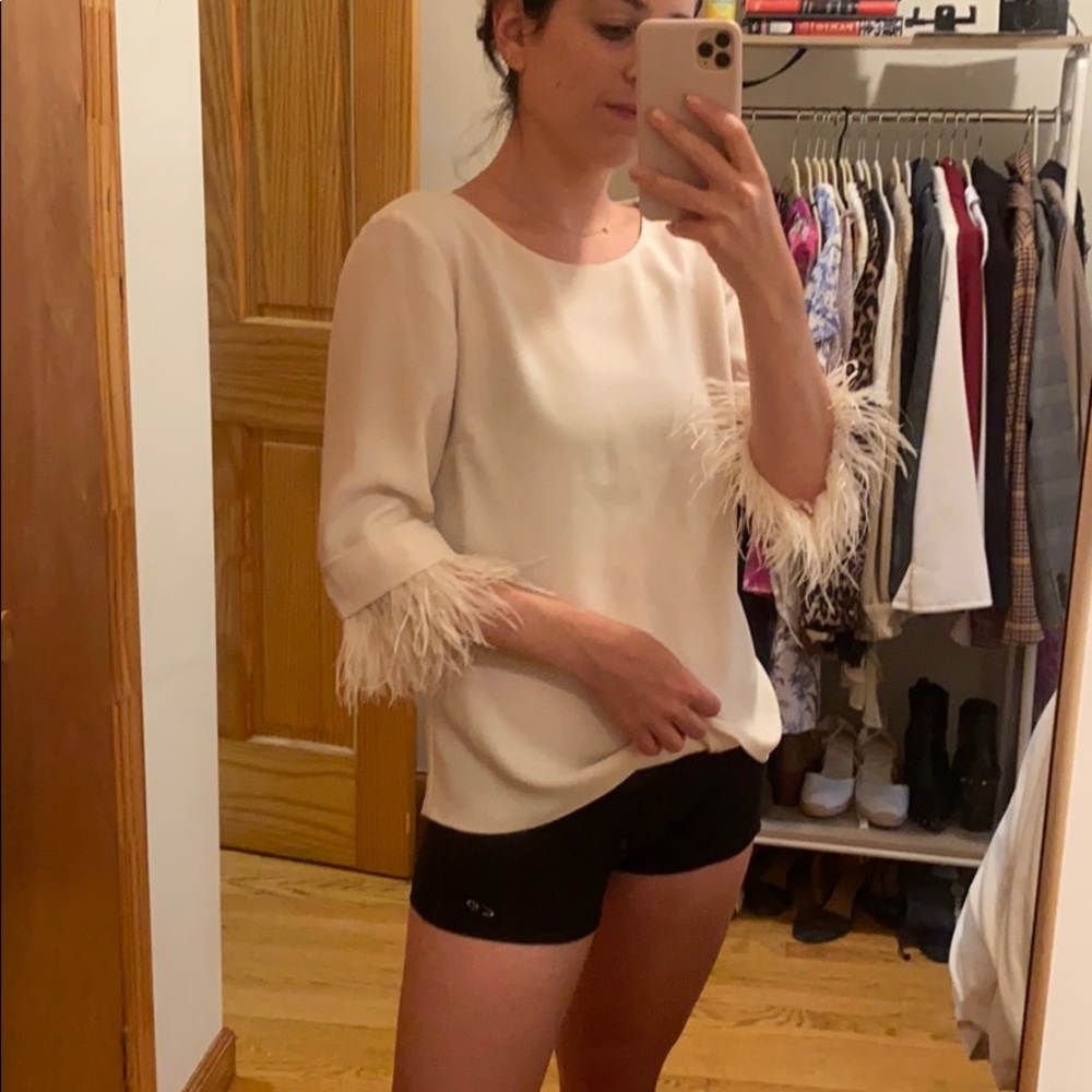 Ann Taylor Feather light pink top (size 2)